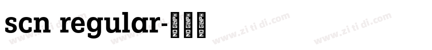 scn regular字体转换